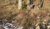 Trail Walking Rochefort - Fond de tions  - Photo 4