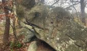 Tocht Noords wandelen Fontainebleau - Croix Toulouse - Photo 1