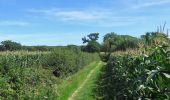 Trail On foot Unknown - Nunwell Trail - Photo 3