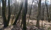 Tour Wandern Écaussinnes - Ecaussinnes et le Bois de la Houssiere - Photo 15