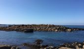 Randonnée Marche Perros-Guirec - Bretagne - Ploumanac’h-Tregastel  par la côte de Granit Rose - Photo 8