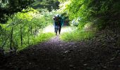 Trail Walking Saint-Nizier-du-Moucherotte - Le bois de la Plagne- St Nizier du Moucherotte - Photo 7