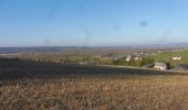 Tour Wandern Quevillon - 20211218-Quevillon  - Photo 20