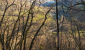 Trail Walking Ornans - Votre-dame du chêne  - Photo 14