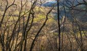 Tour Wandern Ornans - Votre-dame du chêne  - Photo 14