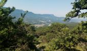 Tocht Stappen Mirabel-et-Blacons - Col de Pourcheton - Photo 7