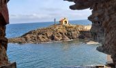 Trail Walking Argelès-sur-Mer - Argelès Collioure par la côte - Photo 2