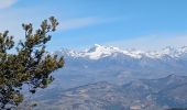 Trail Walking Faucon-du-Caire - FAUCON DU CAIRE . LE CLASTRE .  SERRE DE MALAMORT COL DU BUISSONNET O L S - Photo 5