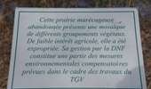 Tour Wandern Welkenrath - 20220411 - Grunhaut 7 Km - Photo 17
