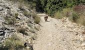 Trail Walking Malaucène - Malaucene-Crestet-Vaison la Romaine  - Photo 3