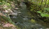 Tocht Stappen Mont-Saint-Guibert - Mont St Guibert - Photo 17