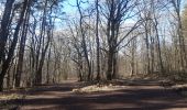 Percorso Marcia Seraing - descente dans le bois de la vecquée - Photo 4