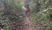 Tour Wandern Rochemaure - Château de Rochemaure, Pic de Chenavari. - Photo 2