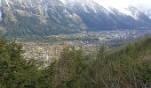 Percorso Marcia Chamonix-Mont-Blanc - aller/retour La Floria Chamonix  - Photo 1