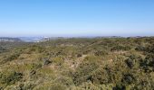 Trail Walking Lirac - Le Tanargue - Photo 3