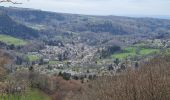 Excursión Senderismo Murat-le-Quaire - coux-banne-ordanche-coux - Photo 18