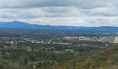 Excursión Senderismo Lançon-Provence - La Fare Lançon - Photo 2