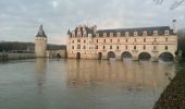 Tocht Stappen Chenonceaux - Boucle Chenonceaux - Photo 1