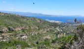Randonnée Marche La Ciotat - la ciotat - cassis par les cretes - Photo 7
