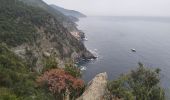 Tour Wandern Vernazza - Corniglia-Monterosso-10kmD570m - Photo 11