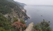 Trail Walking Vernazza - Corniglia-Monterosso-10kmD570m - Photo 11