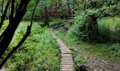 Tocht Stappen Pepinster - La promenade de Tribomont  - Photo 10