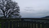 Tour Wandern Sentheim - Sentheim Grambaechle - Photo 2
