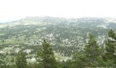 Randonnée Marche Die - Le Glandasse - Col des Bachassons par Valcroissant - Photo 17