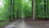 Tour Wandern Watermael-Boitsfort - Watermaal-Bosvoorde - 2020.10.05.P - Photo 1