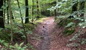 Randonnée A pied Inconnu - Im Alten Berge Rundweg A3 - Photo 7
