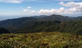 Randonnée Marche Saint-Claude - La Soufrière - Photo 10