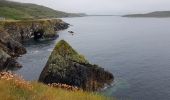 Tour Wandern Conamara Municipal District - 190706Skyroad - Photo 1