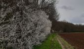 Randonnée Marche Mesnil-en-Ouche - Epinay - Photo 4