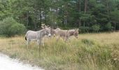 Tocht Mountainbike Thorame-Basse - Col de Seoune Lambruisse - Photo 2