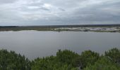 Excursión Senderismo Lacanau - Balade Réserve de l'étang de Cousseau - Photo 1