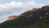 Percorso Marcia Saint-Raphaël - Agay - Sainte-Barbe - Étang des Nénuphares - Photo 1