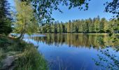 Tour Wandern La Chaise-Dieu - Sentier du Serpent d'Or  - Photo 13