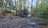 Excursión Senderismo Stoumont - A la découverte du ruisseau du Roannay et le village de Moulin du Ruy - Photo 14