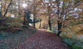 Trail Walking Bersac-sur-Rivalier - Bersac-sur-Rivalier - Beaubiat - 5,5 km - Photo 13