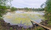 Trail Walking Dampmart - Boucle 23 km Dampmart Annet sur Marne Base de Jabeline - Photo 5