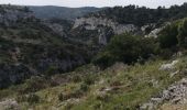 Percorso Marcia Cheval-Blanc - les gorges du regalon - Photo 2