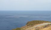 Trail Walking Port-Vendres - port vendre . cap bear / retour  - Photo 18