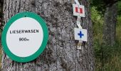 Tour Wandern Geishausen - Gilles_VIOLANT_2020-08-19_09-35-59 - Photo 12