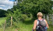 Trail Walking Houffalize - Les deux Ourthes au départ de Filly - Photo 2