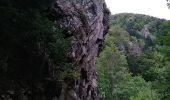 Tocht Stappen Bourbach-le-Haut - Le sentier géologique du Rossberg - Photo 12