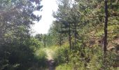 Trail Walking La Roche-des-Arnauds - SityTrail - Circuit de la combe du Duc - Photo 10