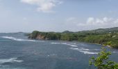 Tour Wandern La Trinité - cosmy- anse Richer-anse Lahoussaye-Etoile- anse Azerot-Cosmy - Photo 13