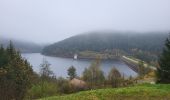 Tour Wandern Bad Rippoldsau-Schapbach - Bad Rippoldsau - cascade de Burgbach – lac de retenue Kinzig -  cascade du Büstenloch - Photo 12