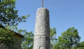 Percorso A piedi Gréolières - Circuit du Loup - Photo 1