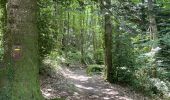Trail Walking Lacrouzette - Sidobre - Photo 3